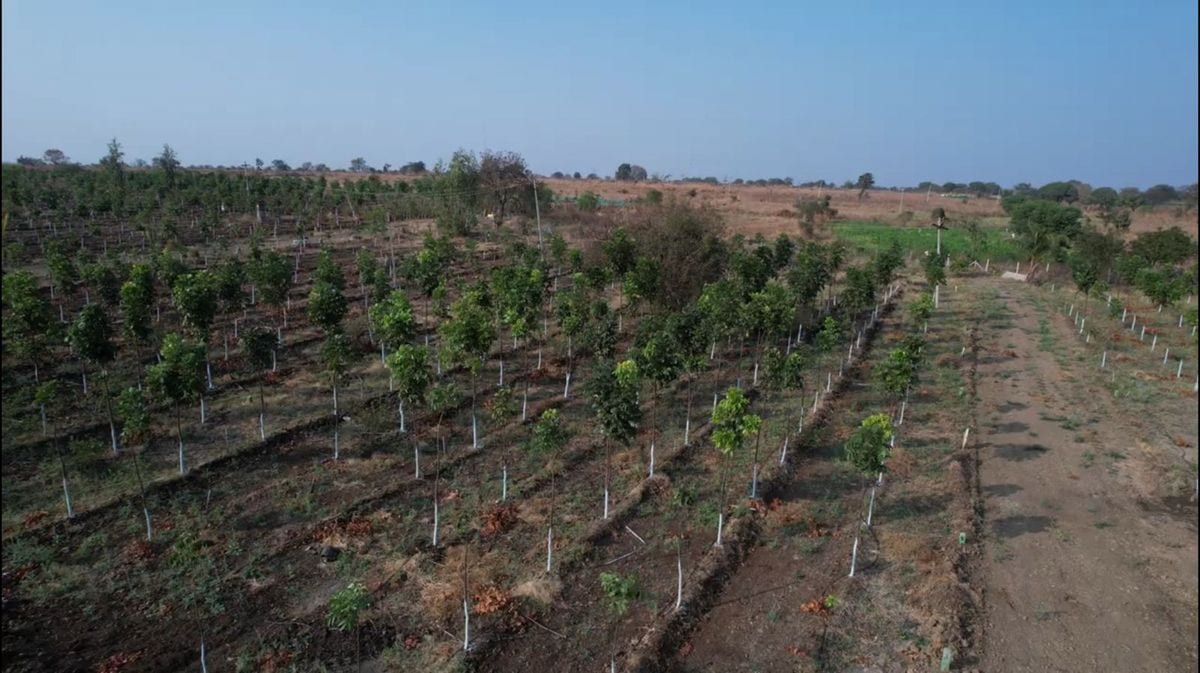 Farm Plots for Sale Near Hyderabad | Harithavanam Gated Farmland in Sangareddy